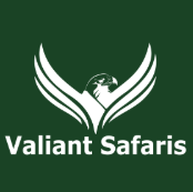 Valiant Safaris